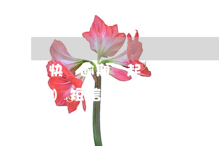 快錢逾期說起訴我(馬上金融逾期了發(fā)短信給我說要起訴我)