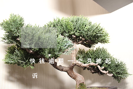 快钱逾期一个月被起诉 快贷逾期会不会被起诉
