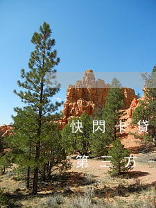 快閃卡貸逾期一天說要轉(zhuǎn)交第三方-快閃卡貸逾期一天說要轉(zhuǎn)交第三方是真的嗎
