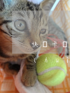 快閃卡貸逾期會(huì)上征信么(快貸會(huì)不會(huì)上征信)