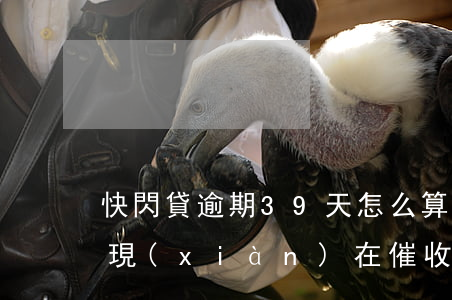 快閃貸逾期39天怎么算(快貸逾期4年多了,現(xiàn)在催收又開(kāi)始了)
