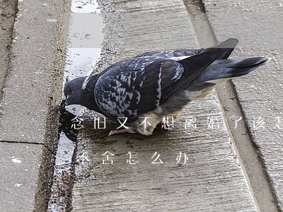 念旧又不想离婚了该怎么办(决定离婚但还有不舍怎么办)