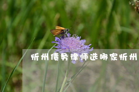 忻州债务律师选哪家(忻州哪里去找律师)