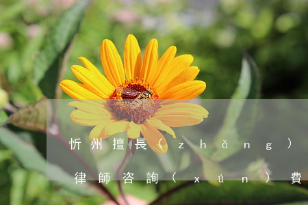 忻州擅長(zhǎng)債務(wù)清償律師咨詢(xún)費(fèi)多少-忻州擅長(zhǎng)債務(wù)清償律師咨詢(xún)費(fèi)多少錢(qián)