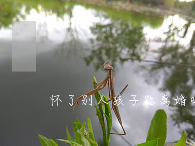 怀了别人孩子能离婚吗