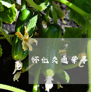 怀化交通肇事逃逸事故(破获交通肇事逃逸案)