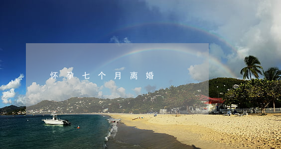怀孕七个月离婚