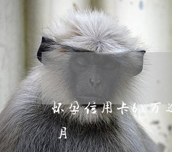 怀孕信用卡6万逾期(信用卡4万多逾期六个月)