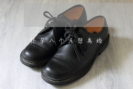 怀孕八个月想离婚
