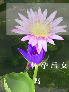 怀孕后女人提离婚(怀孕了女方可以提出离婚吗?)