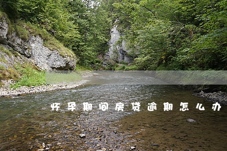 怀孕期间房贷逾期怎么办(房贷逾期如何处理)