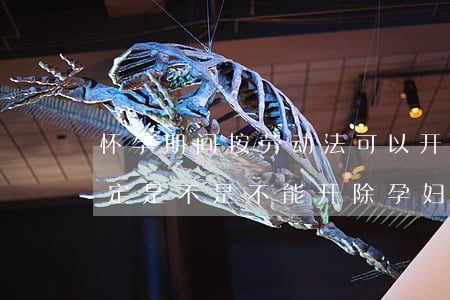 怀孕期间按劳动法可以开除孕妇吗(劳动法规定是不是不能开除孕妇)