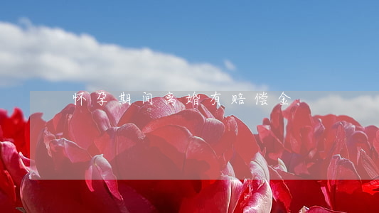 怀孕期间离婚有赔偿金