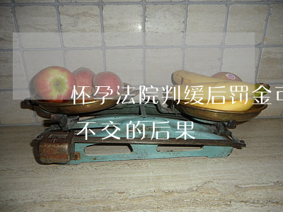 怀孕法院判缓后罚金可以不交吗(判刑后罚金不交的后果)