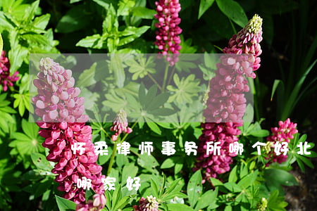 怀柔律师事务所哪个好(北京怀柔律师事务所哪家好)