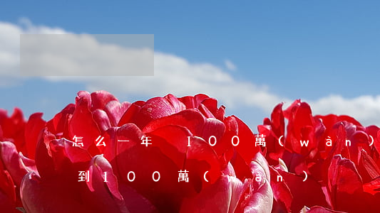 怎么一年掙100萬(wàn)(怎么一年賺到100萬(wàn))