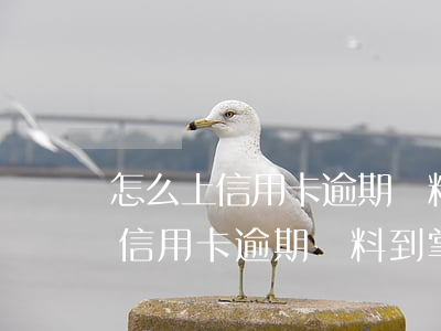 怎么上信用卡逾期資料到掌上生活-怎么上信用卡逾期資料到掌上生活平臺