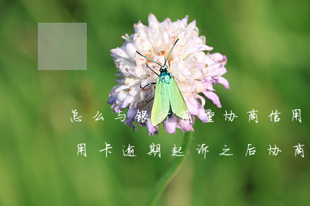 怎么与银行商量协商信用卡逾期还款事宜（信用卡逾期起诉之后协商技巧）