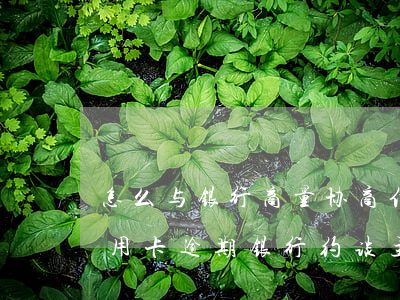 怎么与银行商量协商信用卡逾期还款事宜（信用卡逾期银行约谈主动协商吗）