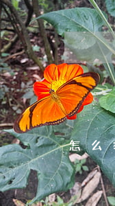 怎么举报小三(被小三举报)
