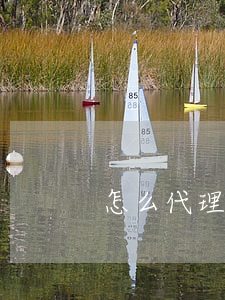 怎么代理捷信貸款(捷信貸款怎么辦理)