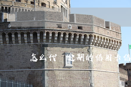 怎么代還逾期的信用卡（信用卡逾期寫代償書）