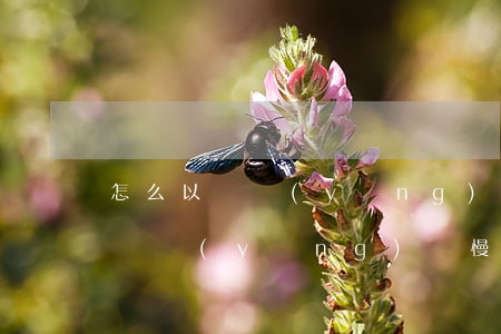 怎么以貸養(yǎng)貸慢慢還-怎么以貸養(yǎng)貸慢慢還款