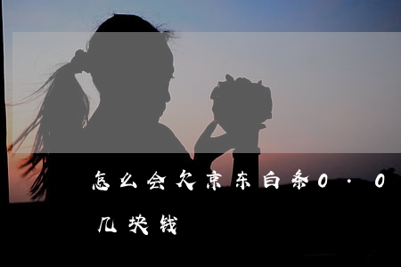 怎么会欠京东白条0.01分钱(京东白条欠几块钱)