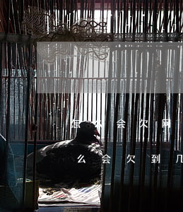 怎么会欠网贷五601000万呢-网贷怎么会欠到几十万