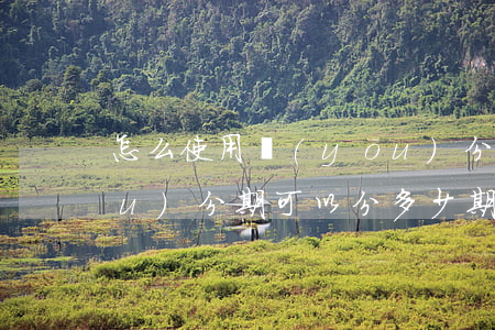 怎么使用優(yōu)分期免息呢 優(yōu)分期可以分多少期