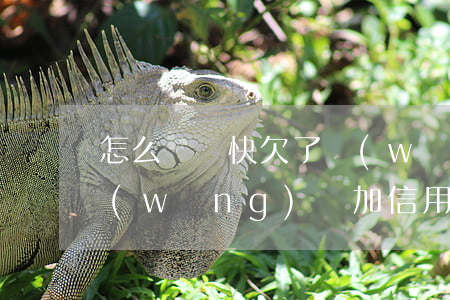 怎么來錢快欠了網(wǎng)貸信用卡(網(wǎng)貸加信用卡欠款40萬怎么上岸)