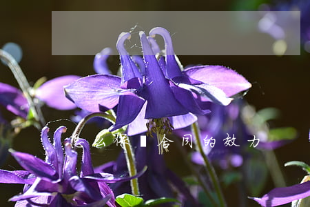 怎么保證合同的效力