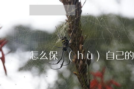怎么保護(hù)自己的版權(quán)