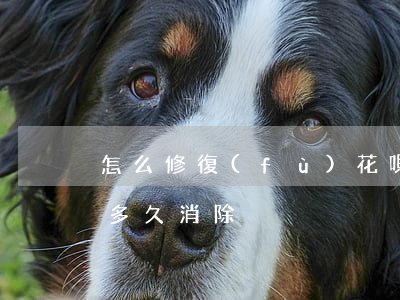 怎么修復(fù)花唄逾期后守約(花唄守約多久消除)