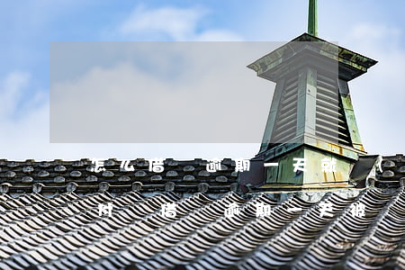 怎么借唄逾期一天就關(guān)閉了(支付寶借唄逾期一天被關(guān)閉后怎么恢復(fù))