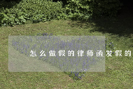 怎么做假的律师函(发假的律师函会怎么样)