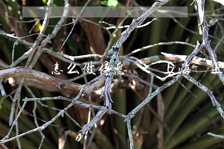 怎么做停息掛賬上海-上海銀行停息掛賬