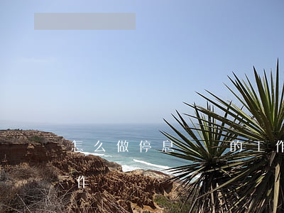 怎么做停息掛賬的工作(怎么做停息掛賬的工作)