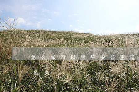 怎么做可以讓平安普惠延期(平安普惠審批要多久)