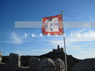 怎么做司法亲子鉴(民法典亲子鉴定)