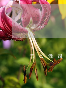 怎么做司法筆記