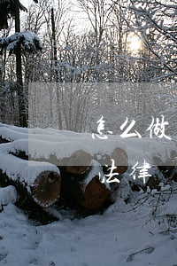 怎么做單位的法律顧問(wèn)(公司需要法律顧問(wèn)嗎)