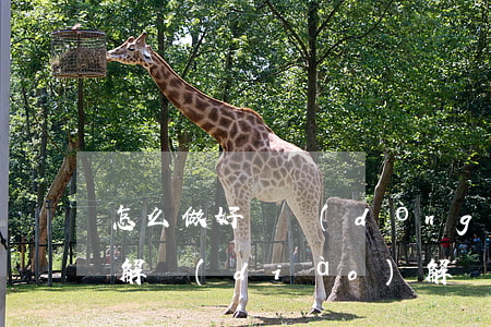 怎么做好勞動(dòng)調(diào)解(調(diào)解勞資糾紛)