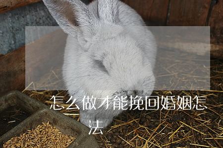 怎么做才能挽回婚姻(怎樣挽回婚姻感情的具體辦法)