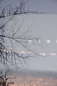 怎么做承兌匯票不違法(承兌匯票違法行為)