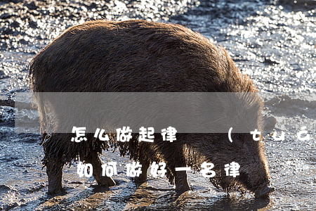 怎么做起律師團(tuán)隊(duì)(如何做好一名律師)