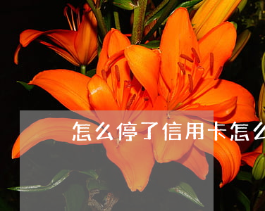 怎么停了信用卡(怎么停信用卡額度)