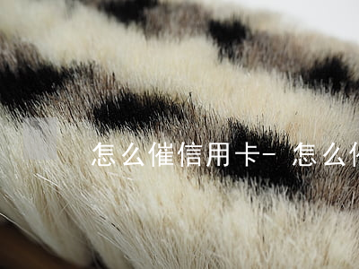 怎么催信用卡-怎么催信用卡進度