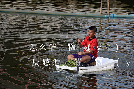 怎么催繳物業(yè)費(fèi)不讓人反感(怎樣催繳物業(yè)費(fèi),才能使業(yè)主滿意)