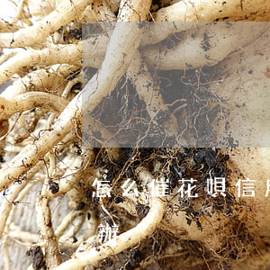 怎么催花唄信用卡逾期的帳(花唄催款了怎么辦)
